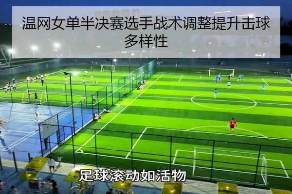 温网女单半决赛选手战术调整提升击球多样性（NG28）